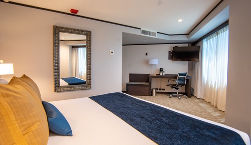 Habitación estándar, 1 cama de matrimonio grande
