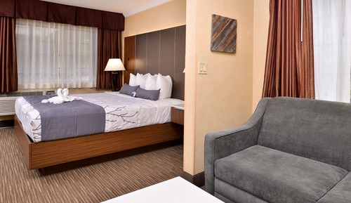 Habitación estándar, 1 cama de matrimonio grande, no fumadores, frigorífico y microondas