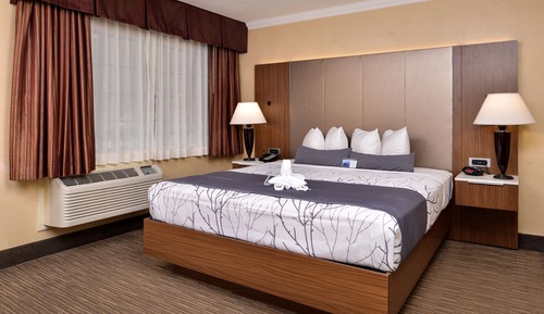 Habitación estándar, 1 cama de matrimonio grande, no fumadores