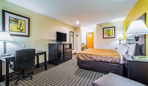 Habitación estándar, 1 cama de matrimonio grande, no fumadores