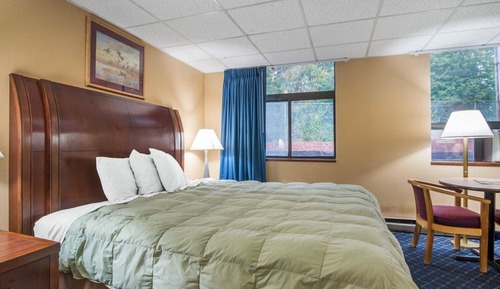 Habitación estándar, 1 cama de matrimonio grande, no fumadores