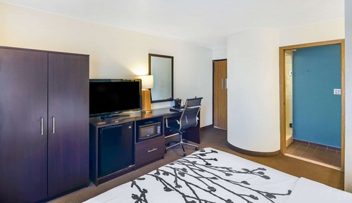Habitación estándar, 1 cama de matrimonio, no fumadores