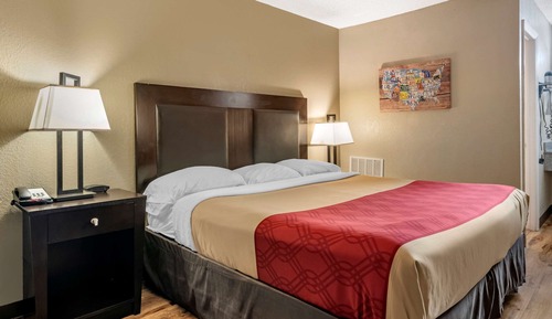 Habitación estándar, 1 cama de matrimonio grande, no fumadores