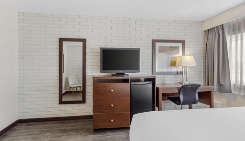 Habitación estándar, 1 cama de matrimonio grande, no fumadores, frigorífico (Pet Friendly)