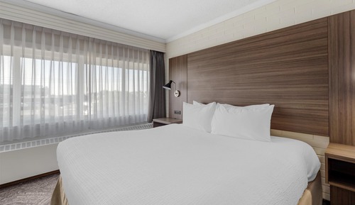 Habitación ejecutiva, 1 cama de matrimonio grande, no fumadores, frigorífico y microondas