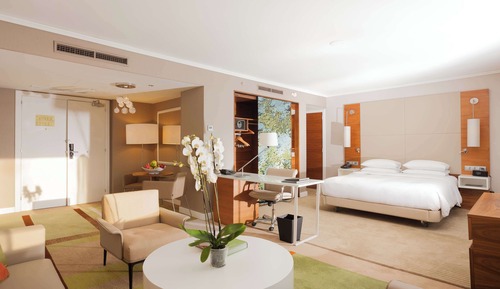 Suite, 1 cama de matrimonio grande con sofá cama (Alcove)