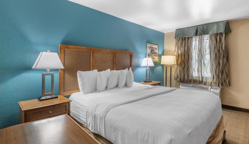 Habitación estándar, 1 cama de matrimonio grande, accesible para personas con discapacidad