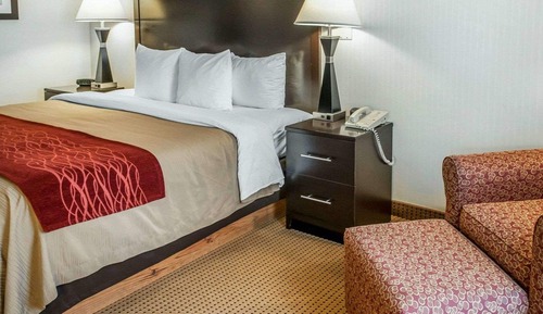 Habitación estándar, 1 cama de matrimonio grande, no fumadores