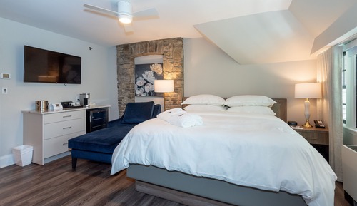 Suite estudio estándar (Newly Renovated)