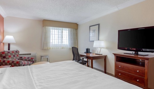 Habitación estándar, 1 cama de matrimonio, no fumadores, frigorífico