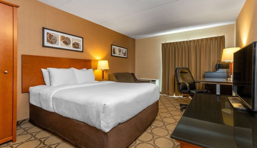 Habitación estándar, 1 cama de matrimonio con sofá cama, no fumadores (Ground floor)