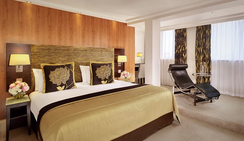 Suite ejecutiva, 1 cama de matrimonio grande con sofá cama