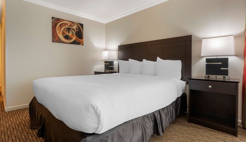 Habitación estándar, 1 cama de matrimonio grande, no fumadores, frigorífico y microondas