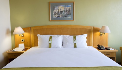Suite, 1 cama de matrimonio grande, fumadores, vistas a la ciudad