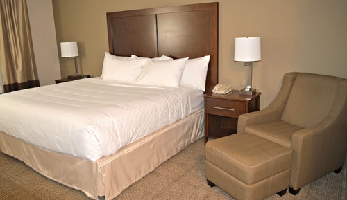 Suite, 1 cama de matrimonio grande, no fumadores (One-Bedroom)