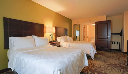 Suite, varias camas, no fumadores