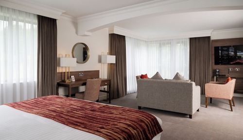 Suite estudio Deluxe