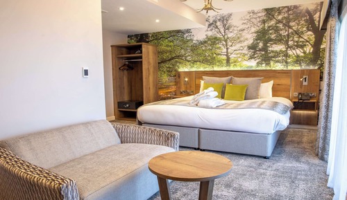 Suite junior, 1 cama de matrimonio grande, balcón, vistas al jardín