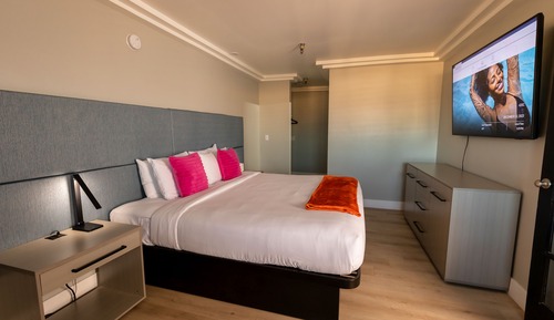 Lexi Suite
