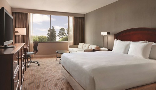 Suite presidencial, 1 cama de matrimonio grande, cocina básica