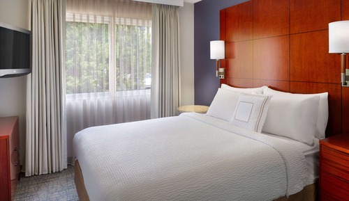 Suite, 1 cama de matrimonio con sofá cama (One Bedroom)
