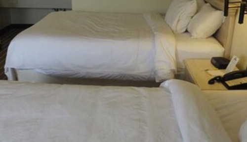 Habitación estándar, 2 camas de matrimonio