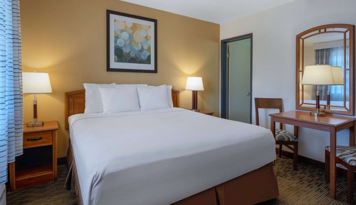 Suite Deluxe, 1 cama de matrimonio grande, no fumadores