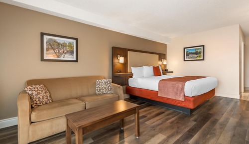Habitación estándar, 1 cama de matrimonio grande, no fumadores, frigorífico