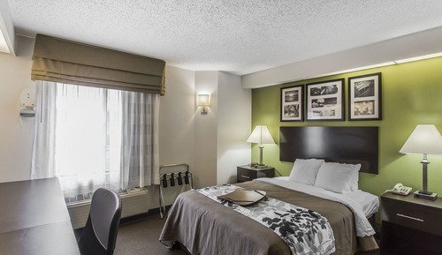 Habitación estándar, 1 cama de matrimonio grande, no fumadores