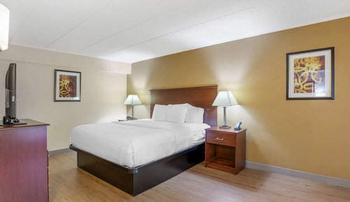 Habitación estándar, 1 cama de matrimonio grande, accesible para personas con discapacidad