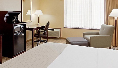 Habitación básica, 1 cama de matrimonio grande