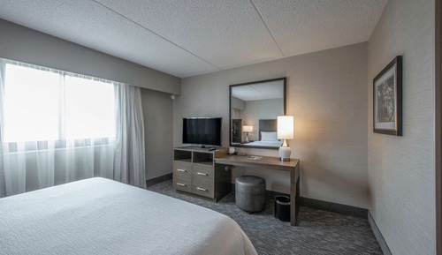 Suite, 1 cama de matrimonio grande con sofá cama