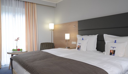 Habitación estándar, 1 cama doble