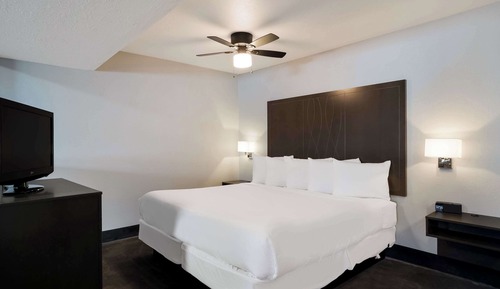 Suite, 1 cama de matrimonio grande, no fumadores (Efficiency)