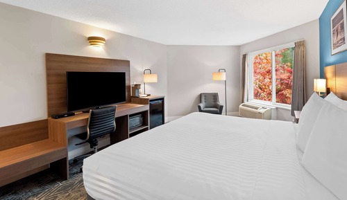Habitación estándar, 1 cama de matrimonio grande, no fumadores