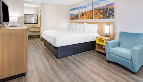 Habitación estándar, 1 cama de matrimonio grande