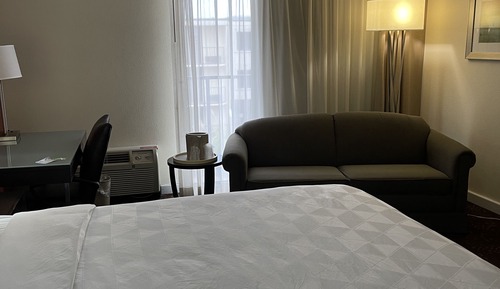 Habitación estándar, 1 cama de matrimonio grande con sofá cama