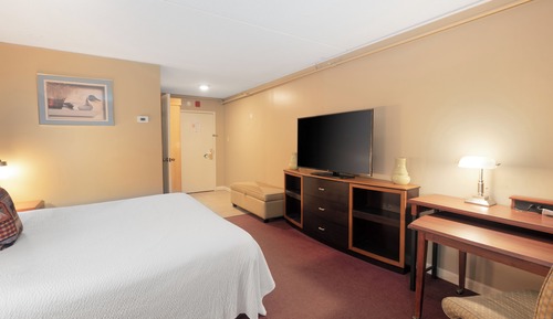 Habitación estándar, 1 cama de matrimonio grande