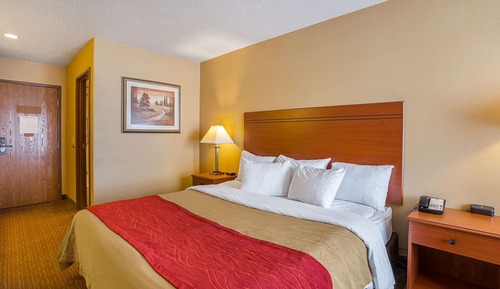 Habitación estándar, 1 cama de matrimonio grande, no fumadores