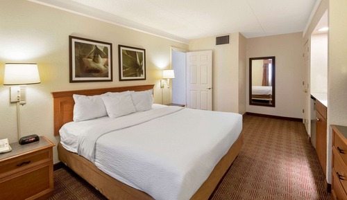 Suite Deluxe, 1 cama de matrimonio grande, no fumadores