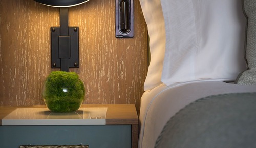 Suite junior, 1 cama de matrimonio grande