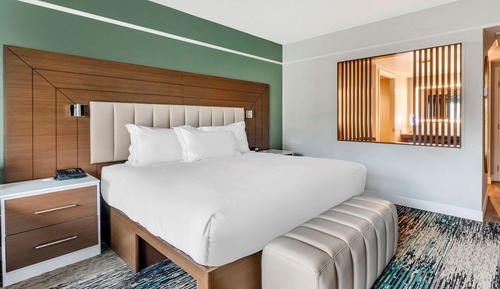 Estudio, 1 cama de matrimonio grande con sofá cama, cocina básica