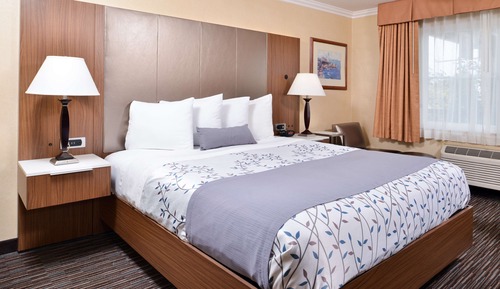 Habitación estándar, 1 cama de matrimonio grande, fumadores, frigorífico y microondas