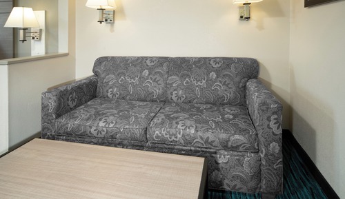Suite, 1 cama de matrimonio grande con sofá cama