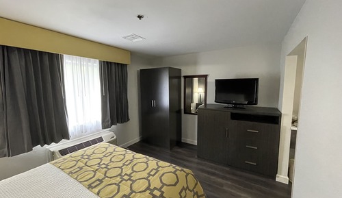 Suite Deluxe, 1 cama de matrimonio, no fumadores (Business)