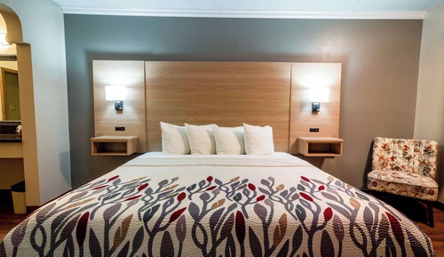 Habitación estándar, 1 cama de matrimonio grande, no fumadores