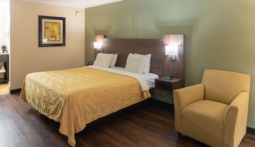 Habitación estándar, 1 cama de matrimonio grande, no fumadores