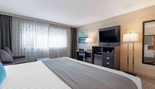 Habitación estándar, 1 cama de matrimonio grande, no fumadores, vistas a la ciudad