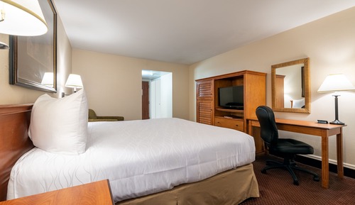 Habitación estándar, 1 cama de matrimonio grande