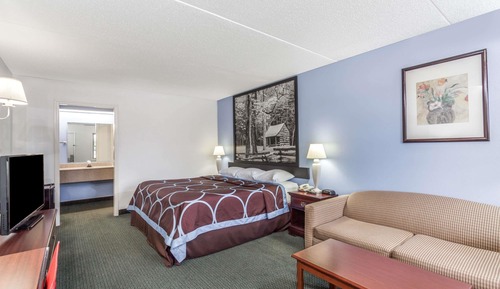 Habitación estándar, 1 cama de matrimonio grande, no fumadores